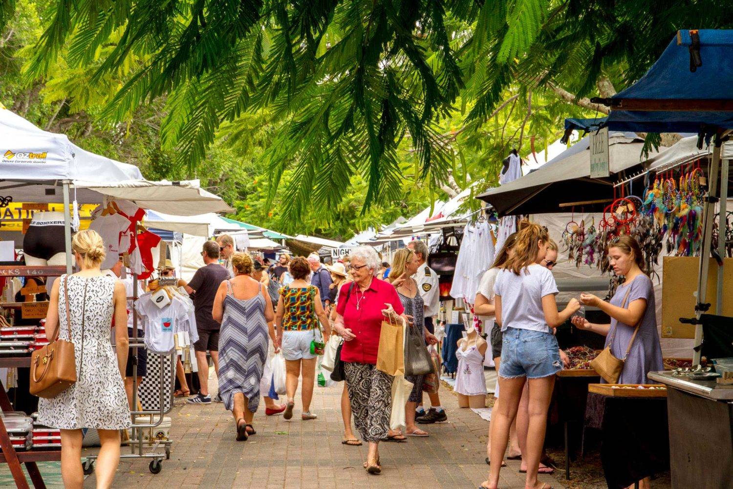 Noosa & Sunshine Coast Tour — photo 3