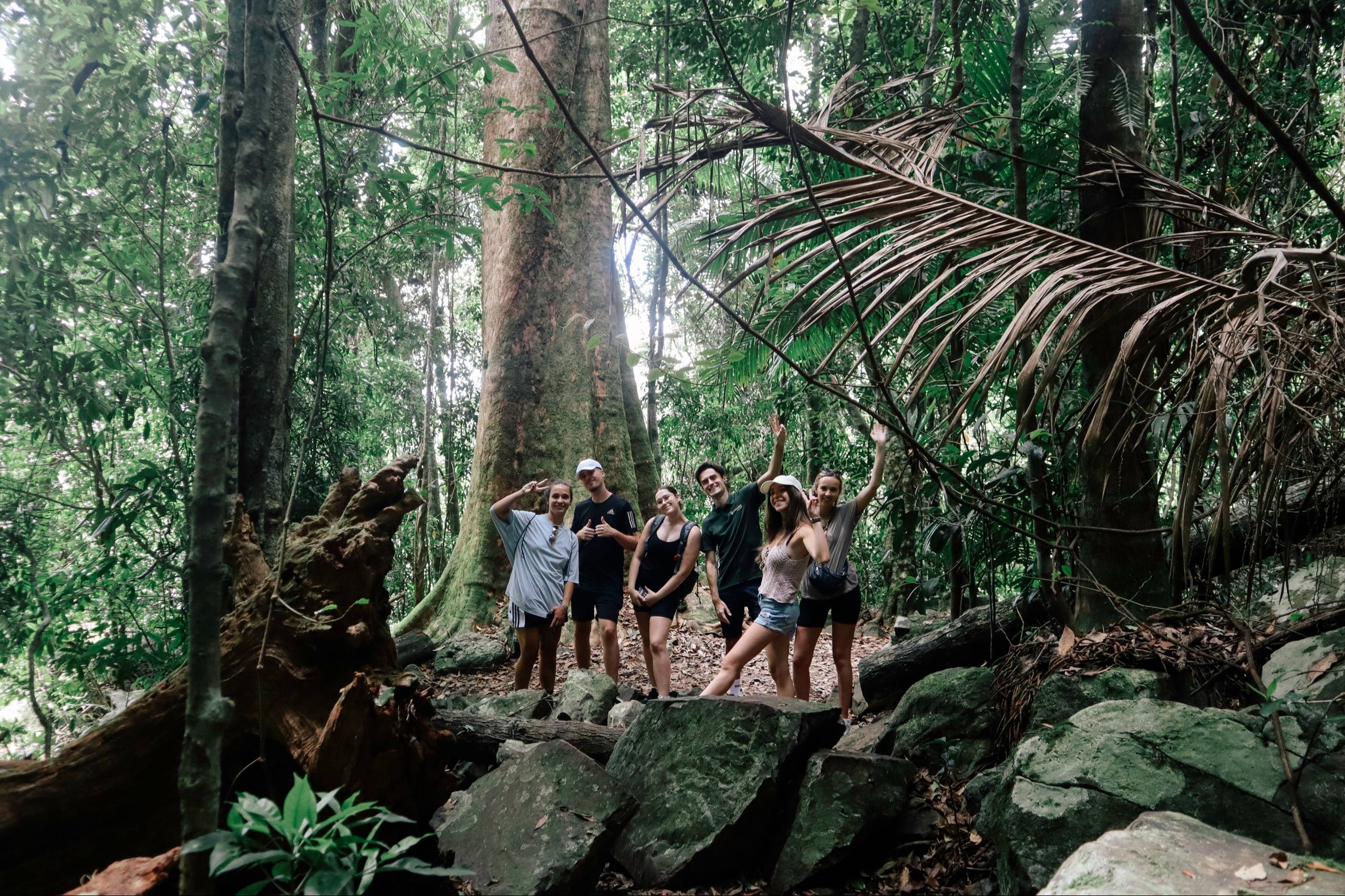 Springbrook National Park tour — photo 3