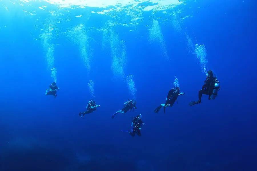 Scuba Experience Dive | Cook Island Aquatic Reserve — photo 3