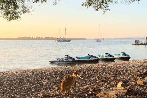Adventure to the Top of South Stradbroke Island — photo 3