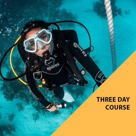 Learn to Dive | SSI Open Water Diver Certification — photo 4